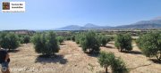 Kamilari Traumhaftes Grundstück mit 360° Panoramablick auf das lybische Meer und den höchsten Berg Kretas, den Psiloritis Grundstück